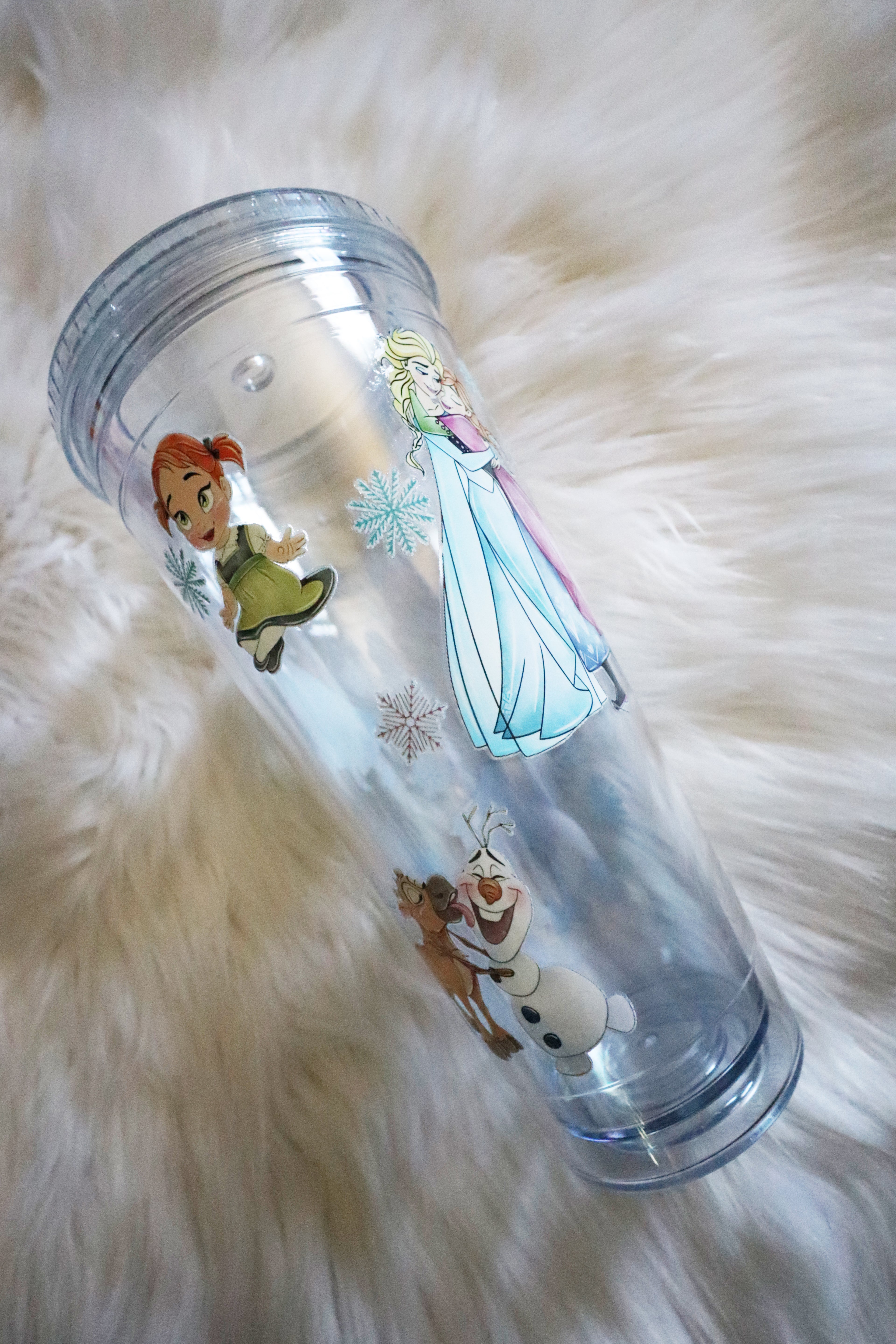 24oz Acrylic Tumbler - Frozen